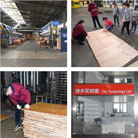 DSC_8012.jpg DSC_8012.jpg